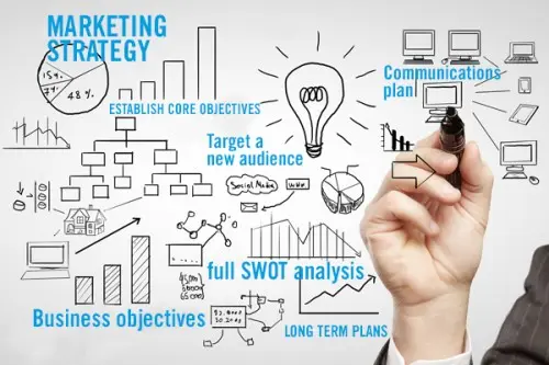 Whale Marketing - strategy development